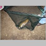 Majdalena 25.6.2008 -41.JPG